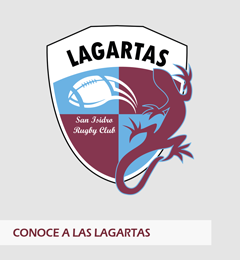 Conoce a las Lagartas