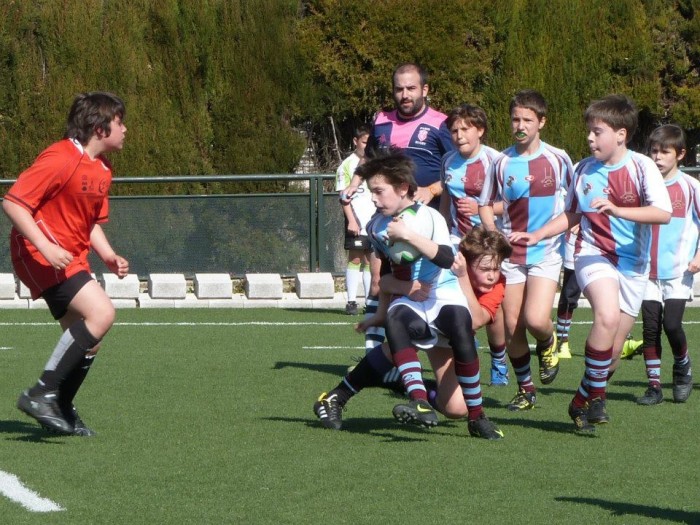 CAU6