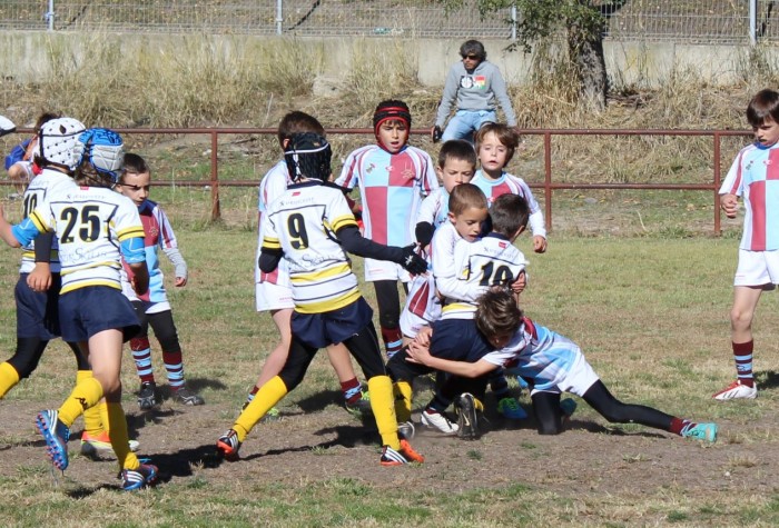 Captura14
